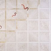 How To Get Rid Of Red Worms In Bathroom