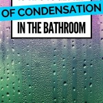 How To Get Rid Of Moisture In Your Bathroom