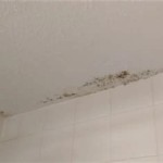 How To Prevent Mold From Growing On Bathroom Ceiling