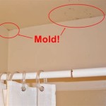 How To Remove Mold From Sheetrock In Bathroom