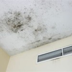 How To Remove Mould From A Bathroom Ceiling