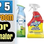 What Is The Best Bathroom Odor Eliminator