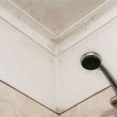 How To Get Mould Out Of Bathroom Ceiling