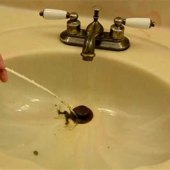 Slow Bathroom Sink Drain Remedy