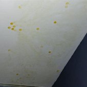Yellow Marks On Bathroom Wall